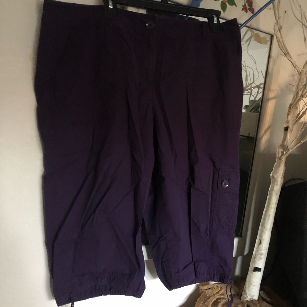 liz & co. Purple Capris